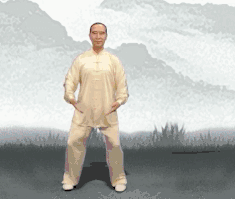 5.gif