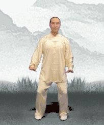 7.gif