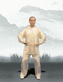 9.gif