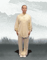 11.gif