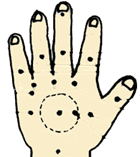 0.gif