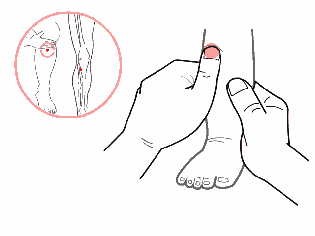 0.gif