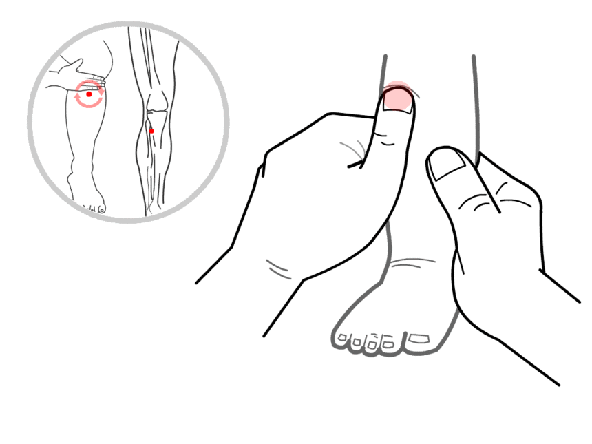 0.gif