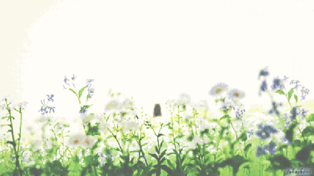 1583032045777141.gif 0.gif