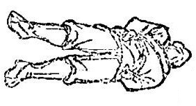 1-1PH309215X43.jpg