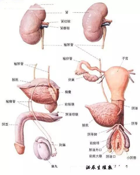 8kAYQ4rx_TxM2.jpg