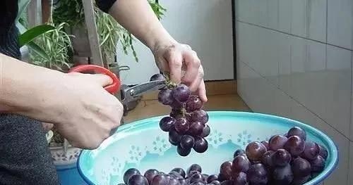 3ucUz8hL_kVZa.jpg