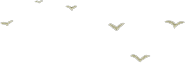59.png