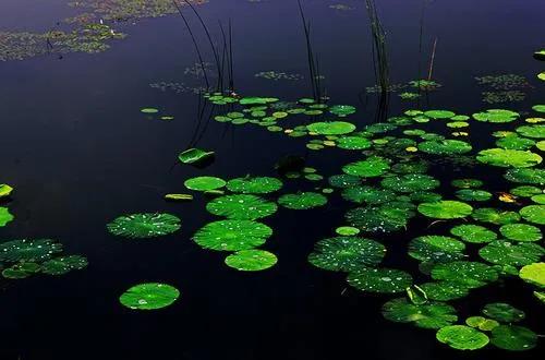 1587264500713084.jpg 4.jpg