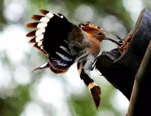 1587264753109053.jpg 5.jpg