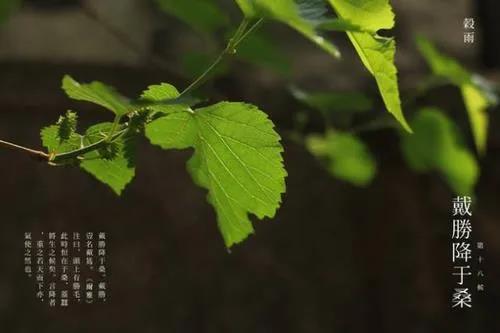 1587264769523965.jpg 6.jpg