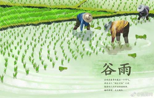 1587264911919592.jpg 14.jpg