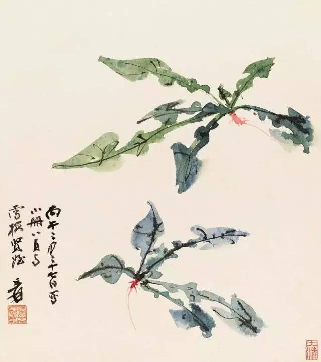 1587520205437101.jpg 4.jpg