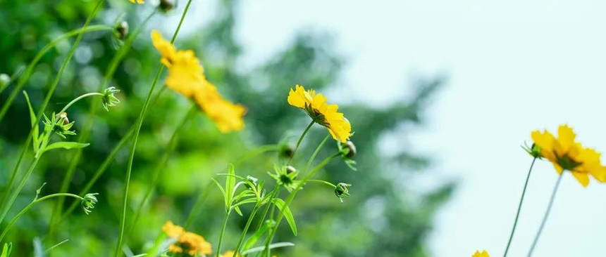 1587606261556597.jpg 2.jpg