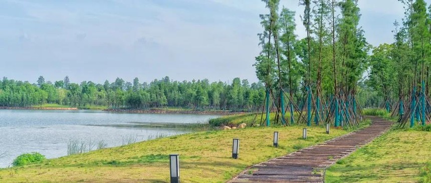 1587606273853916.jpg 3.jpg