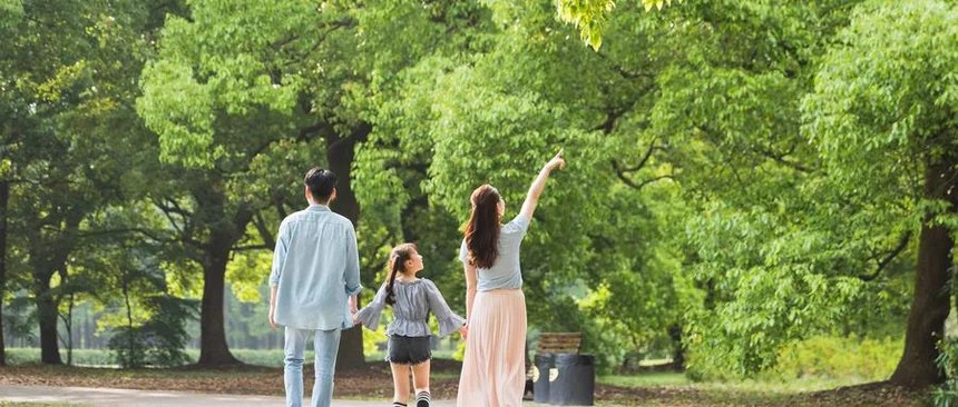 1587606295129244.jpg 4.jpg