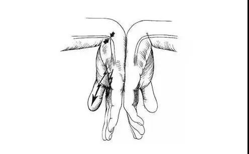 1589421169877802.jpg 1.jpg