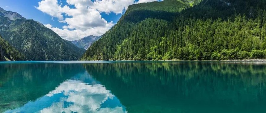 1589422547788126.jpg 1.jpg