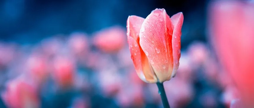 1592789461604908.jpg 640.webp.jpg