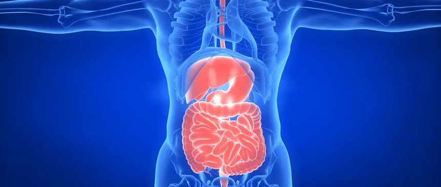 1592789479212881.jpg 640 (1).jpg