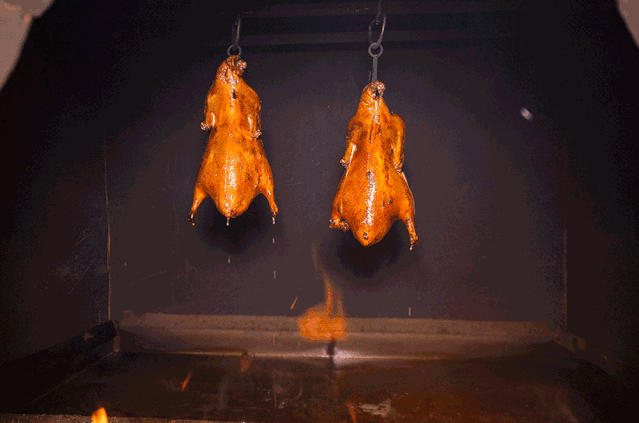 10.gif