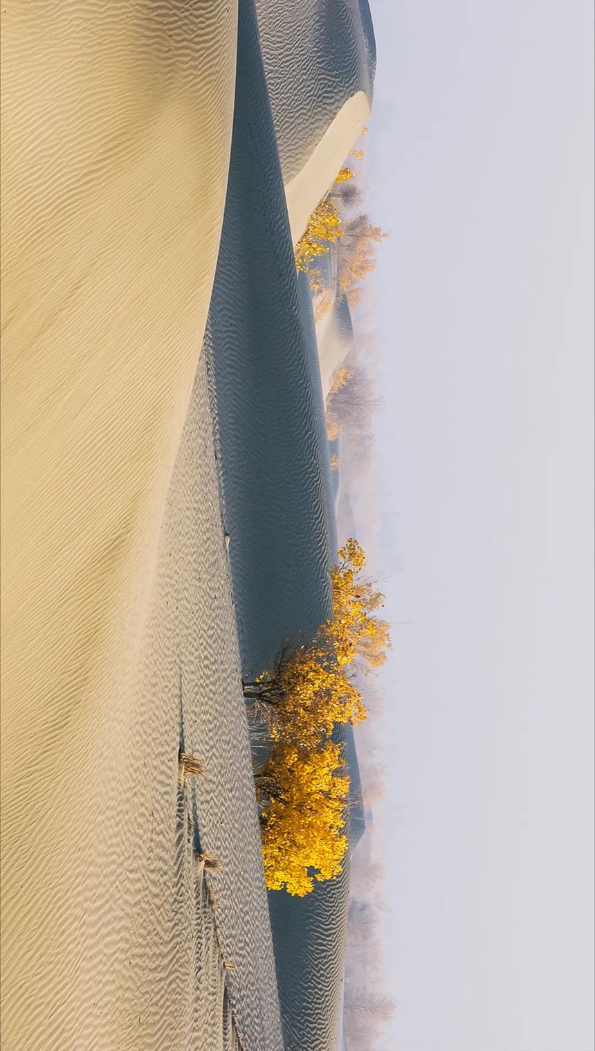 50.jpg