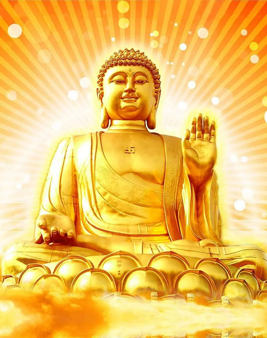c8503d3f105d43baa3c8db15a08deb7c_th.png