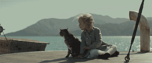 23.gif