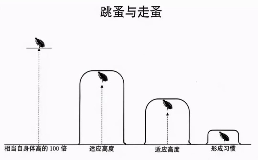 1631064911656685.jpg 6.jpg