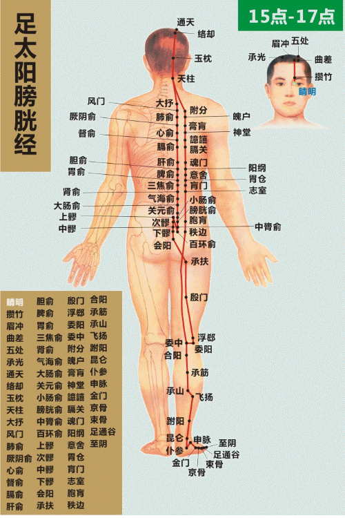 2.gif