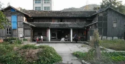 49.jpg