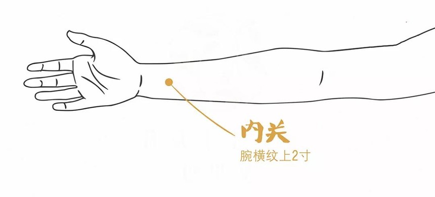 81.jpg