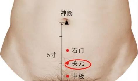 48.jpg
