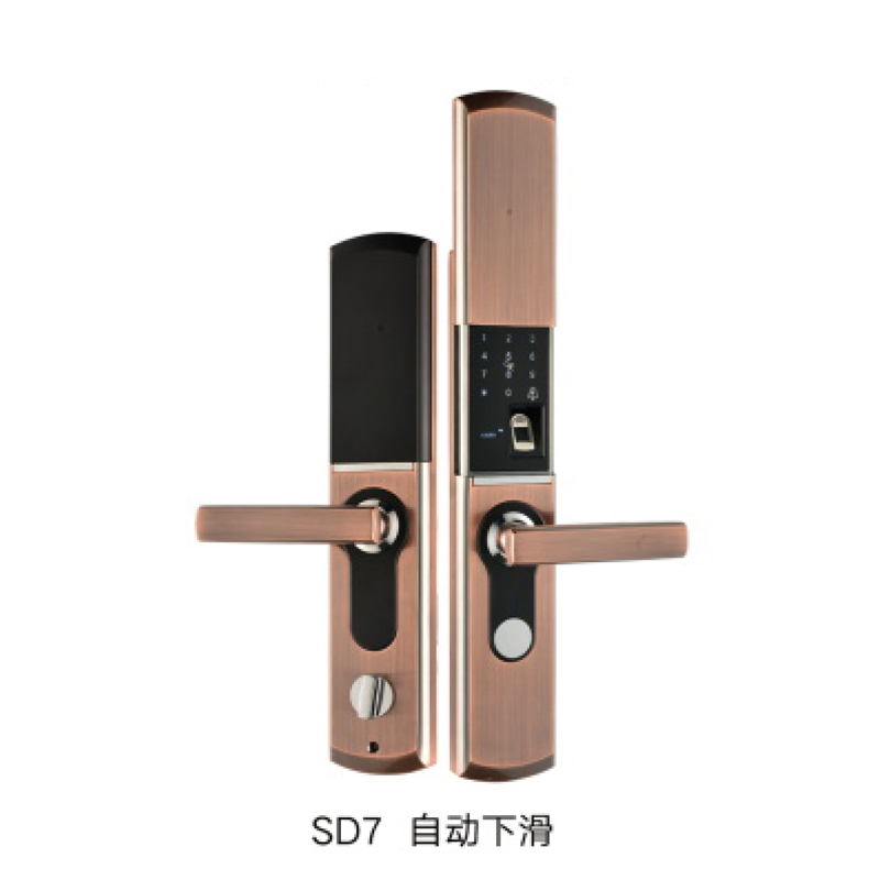 11 SD7-Ԅ».jpg