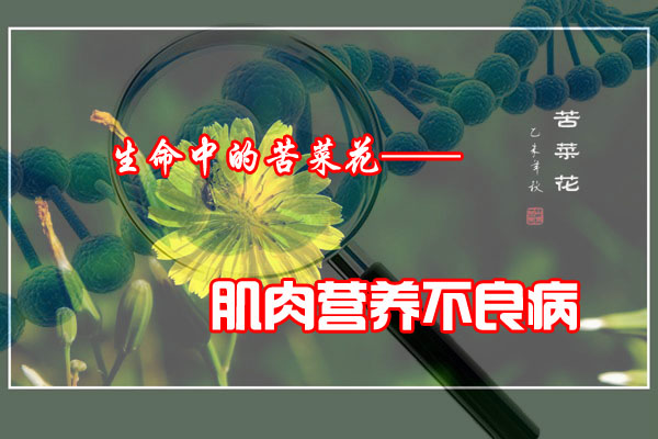Ӫ-1.jpg