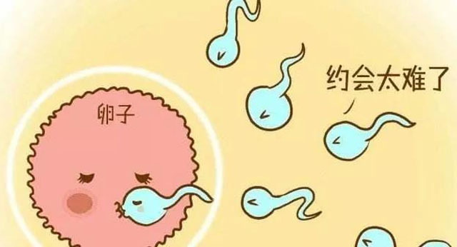 不孕症.jpg