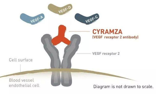 CyramzaĹʾͼ.jpg