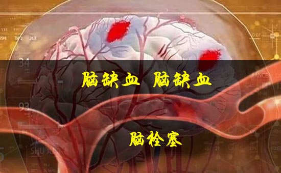 1544781361330837.jpg 1ÄÔȱѪ˨Èû-1.jpg