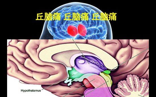1ʹ-1.jpg