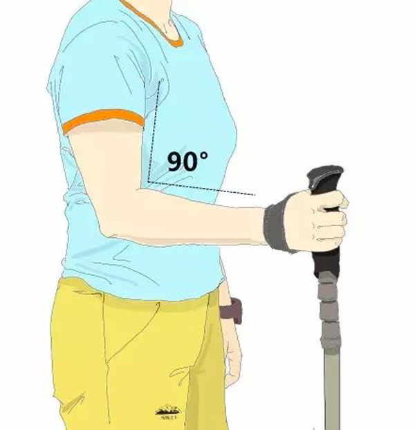 登山杖.png