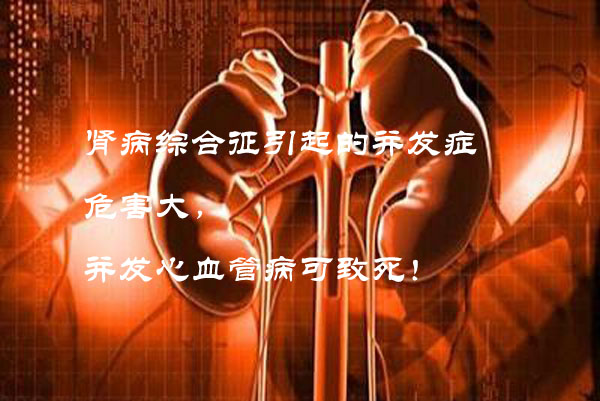 慢性肾炎3副本.jpg
