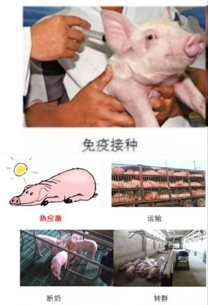 6a6a5bd509cb507d8bc88c5209fc3ef.jpg