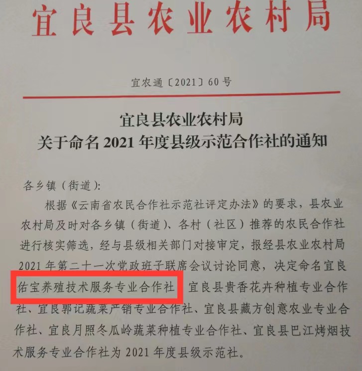 1637587261653868.jpg