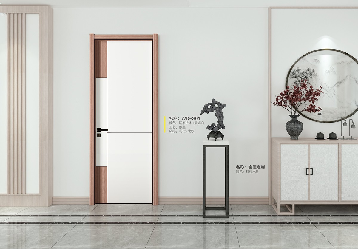 WD-S01.jpg