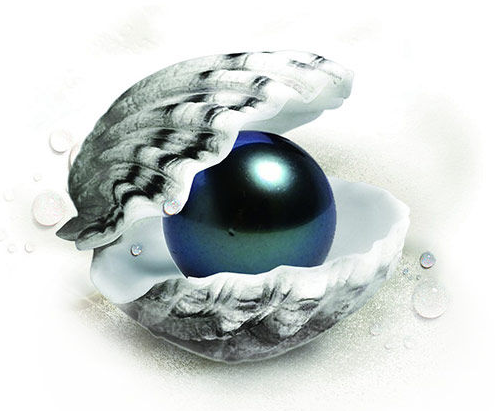 南洋珠黑珍珠价格步步高,顶级珍珠宜戴不宜藏