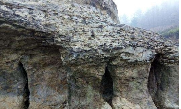 1561433846506933.png image.png