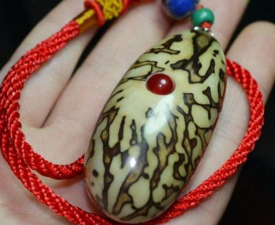 一,千眼菩提的介绍千眼菩提坚硬无比,为实心状,密度硬度大,同时可以