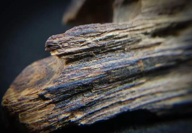 沉香的香味你了解多少?