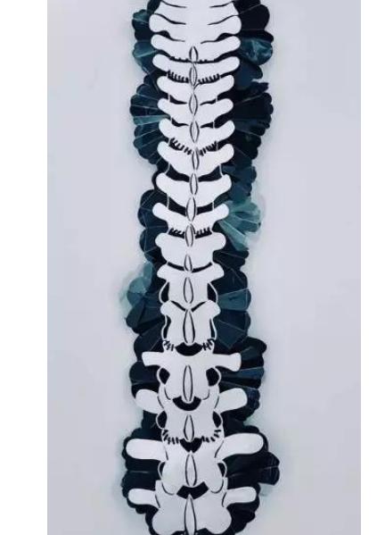 1582447714951778.jpg 360截图20200223164817968.jpg