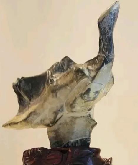 一块像孔雀开屏又似仙鹤高歌奇石他80块买到为何专家估2017万